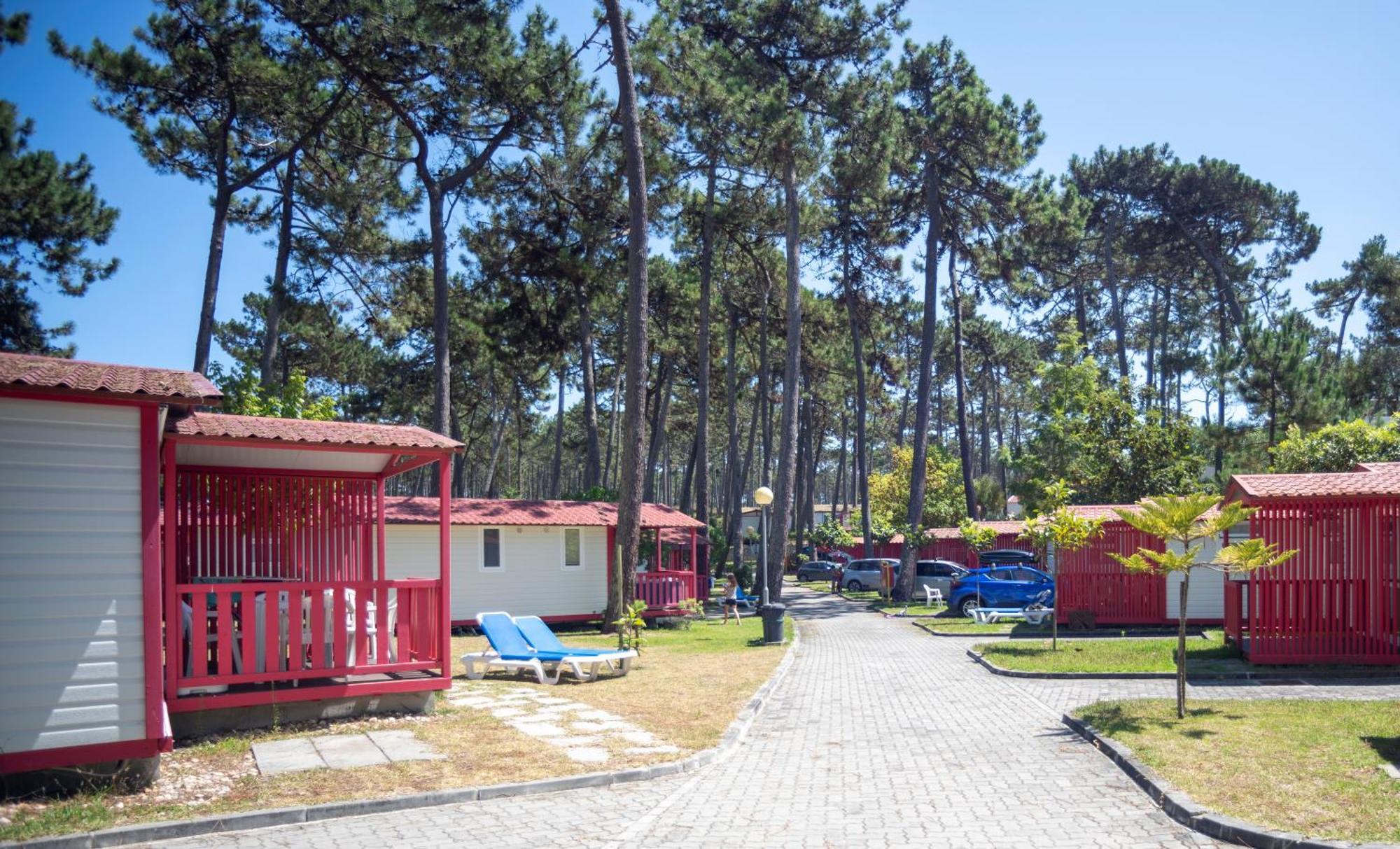 Parque De Campismo Orbitur Sao Pedro De Moel Hotel Bilik gambar