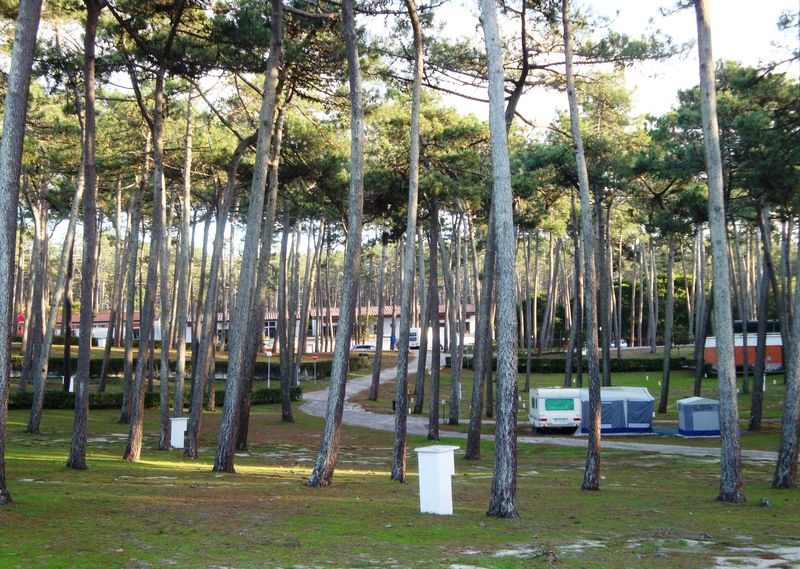 Parque De Campismo Orbitur Sao Pedro De Moel Hotel Luaran gambar